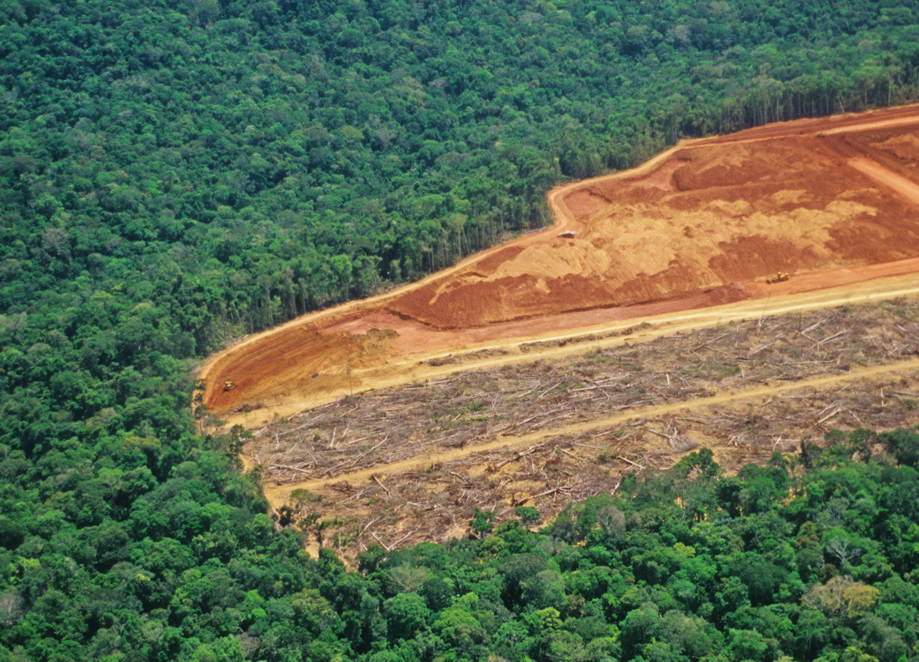 Desmatamento na Amazônia triplica em março, diz Imazon…