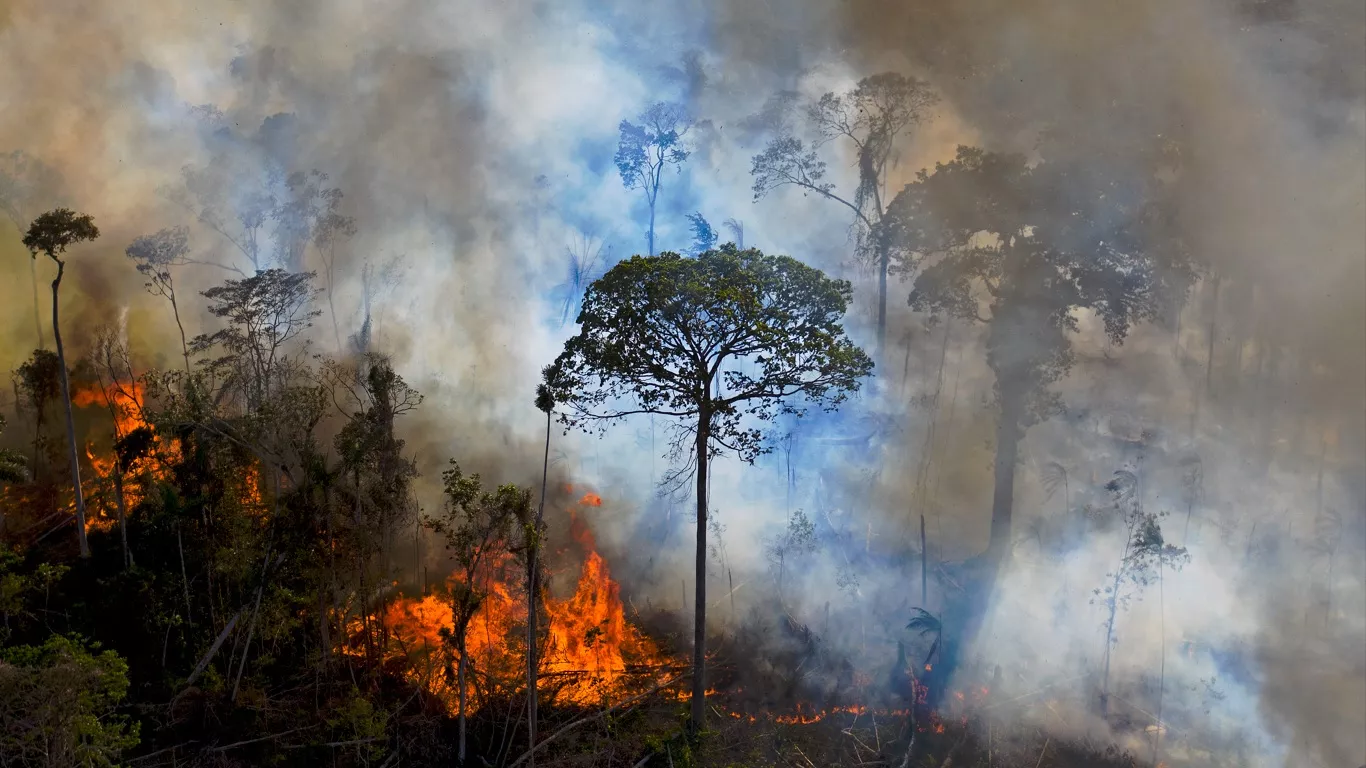 Amazônia registra em junho maior número de queimadas em 16 anos