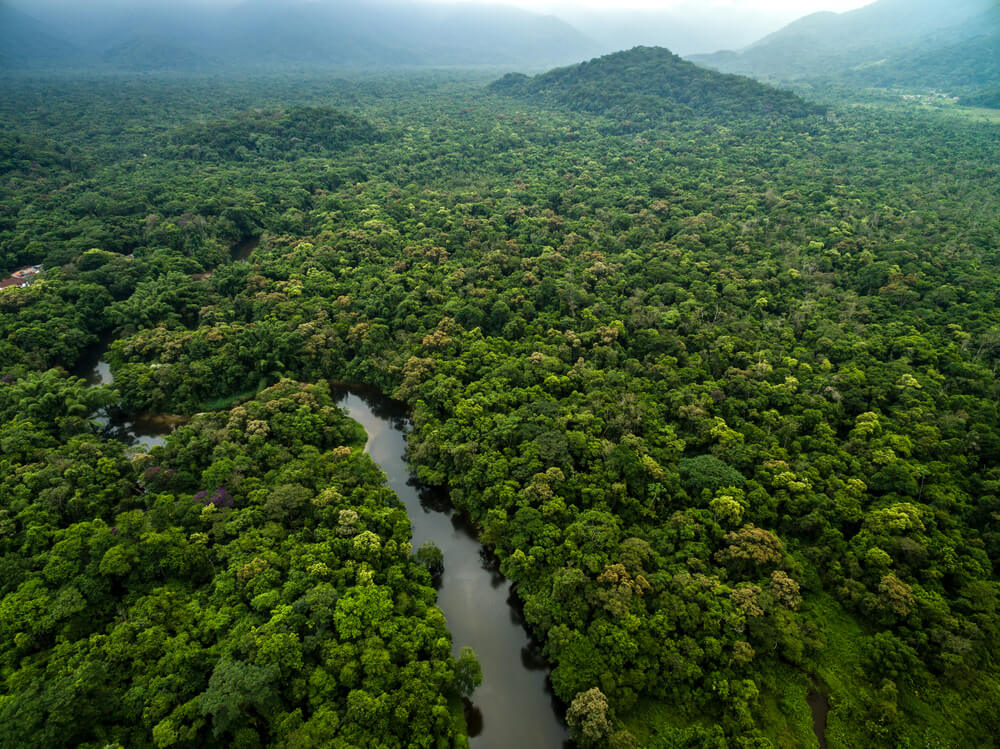 ONG Que Atua Na Amazônia Pagou Quase R$ 700 Mil Em Curso De 3 Dias Para Formar Técnicos