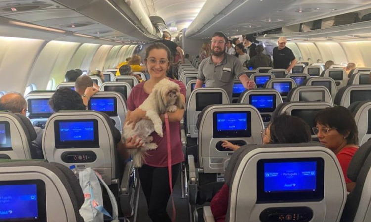 Segunda aeronave de resgate decola de Israel com 214 brasileiros repatriados, um cachorro e três gatos