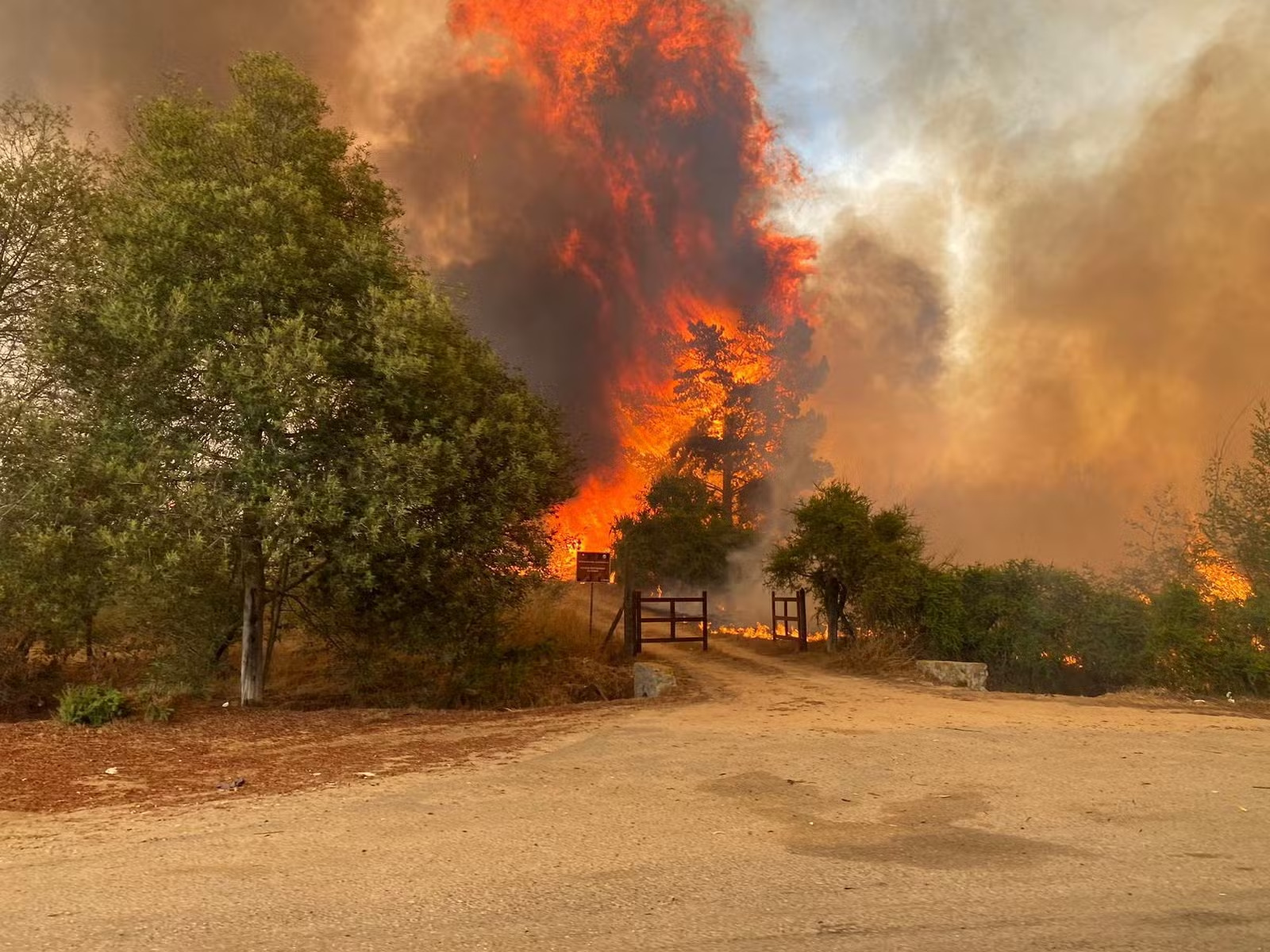 Sobe para 131 o número de mortos de incêndio no Chile 