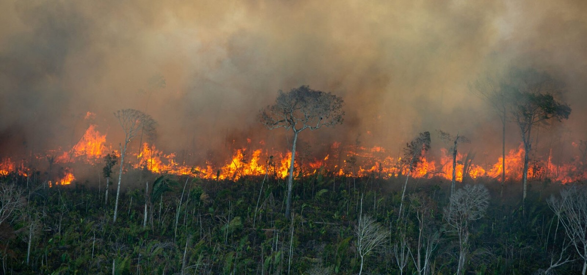 Amazônia bate recorde de focos de incêndio para o mês de fevereiro, mostra Inpe