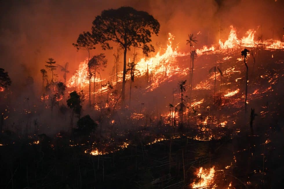 Área queimada na Amazônia aumentou 410% em fevereiro, aponta Monitor do Fogo