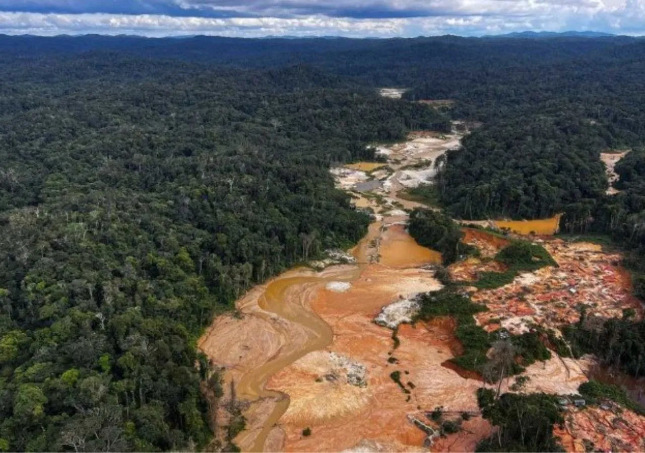 Amazônia: Garimpo devastou área de 4 campos de futebol por dia em 2023 nas terras Yanomami, Kayapó e Munduruku.