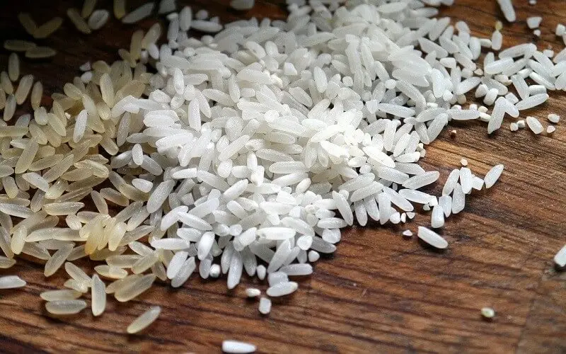 Responsável por leilão de arroz anulado entra em licença remunerada