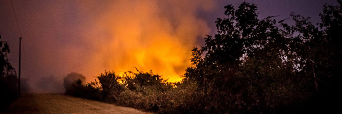 Pantanal em chamas: bioma registra uma queimada a cada 15 minutos