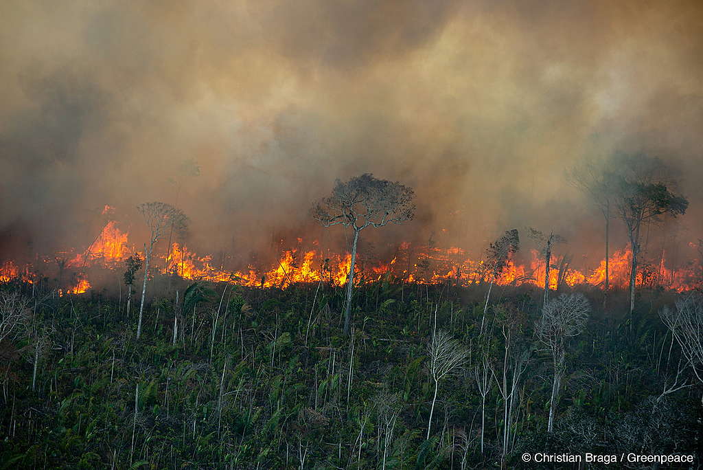 Amazônia enfrenta a pior temporada de queimadas em 17 anos; fumaça se espalha por 10 estados brasileiros