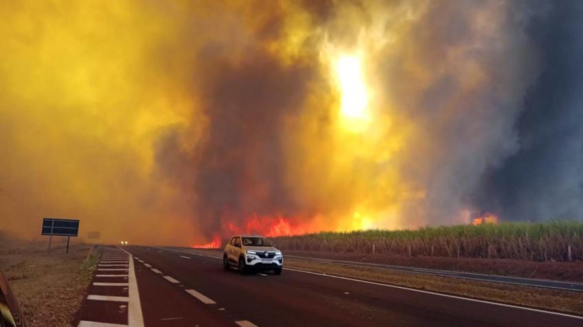 Sem novos focos, incêndios em SP têm 3 presos e 48 cidades em alerta