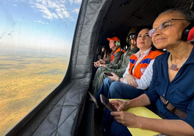 Marina Silva: A 4ª Ministra Mais Buscada no Google em Meio à Crise Ambiental no Brasil