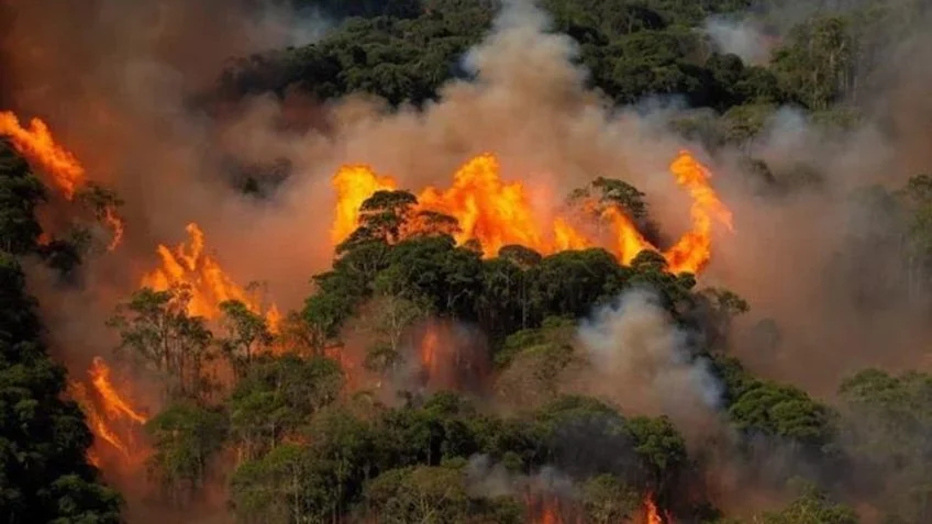 Mesmo sem conseguir controlar os incêndios no Brasil, Lula defenderá soluções para a crise climática em seu discurso na ONU.