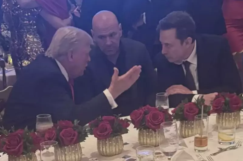 Trio Poderoso: Foto de Trump, Elon Musk e Dana White Explode nas Redes