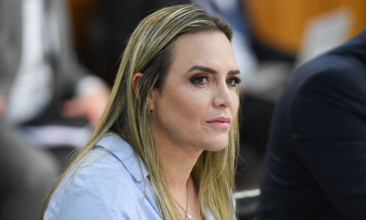 Homem-bomba queria matar Bolsonaro, diz Celina Leão