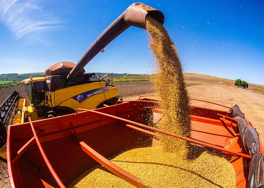 Roraima registra maior crescimento do PIB do Brasil impulsionado pelo agronegócio