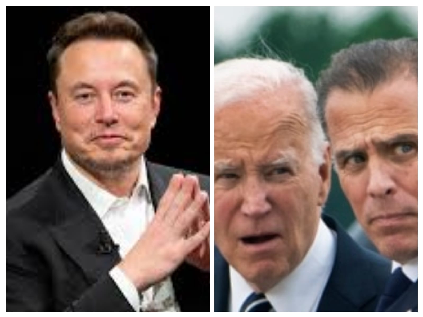 Elon Musk Ironiza Joe Biden Após Perdão ao Filho