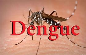 Estado de Emergência em 21 Cidades de São Paulo devido à Dengue