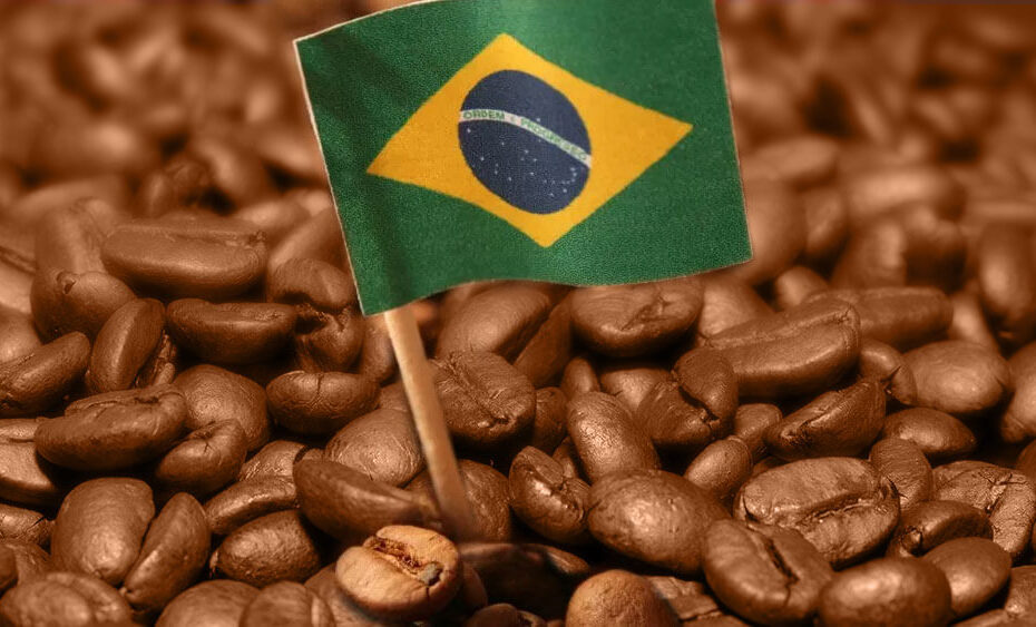 Exportadores de café enfrentam prejuízo milionário devido a atrasos logísticos