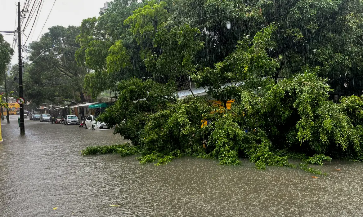 Recife Mantém Alerta Máximo para Chuvas e Número de Mortos Sobe para 7