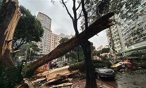 Tempestade em São Paulo provoca uma morte e derruba mais de 300 árvores