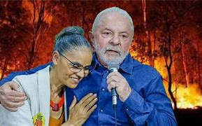 🌳 Amazônia perde fôlego: desmatamento recua, mas floresta segue sangrando 🌳 Amazônia perde fôlego: desmatamento recua, mas floresta segue sangrando