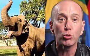 Prefeito de Sorocaba rebate campanha de celebridades e chama ação de “lacração”