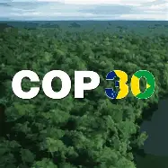 💰 Licitação da COP30 vira caso de polícia: R$ 5 milhões, saques milionários e mensagens suspeitas