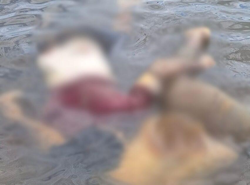 Chacina de amapaenses é confirmada em área rural de Monte Dourado, no Pará