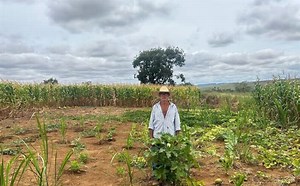 Aposentadoria de agricultor é desviada por associação de servidores