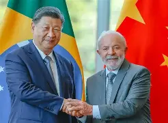 Sem a China, fundo florestal do Brasil perde fôlego na COP30