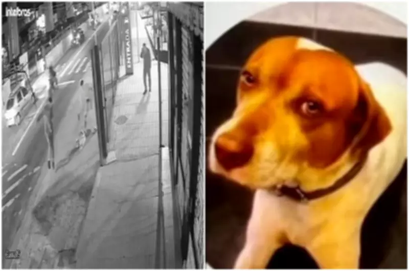 Sete tiros contra um inocente: a farda que falhou com a vida