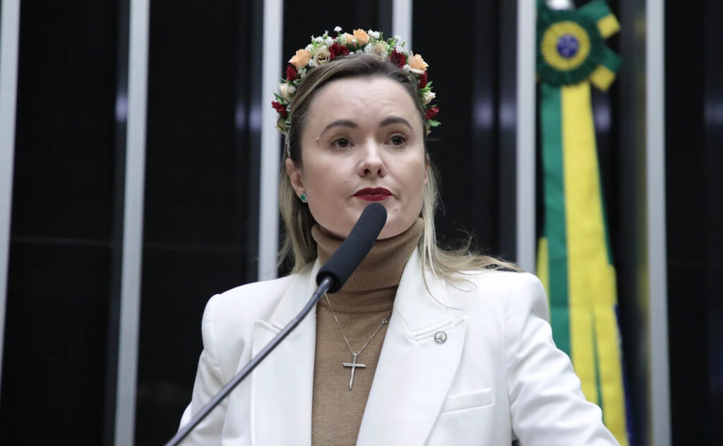 Servidor público é indiciado por ameaças contra a deputada Júlia Zanatta