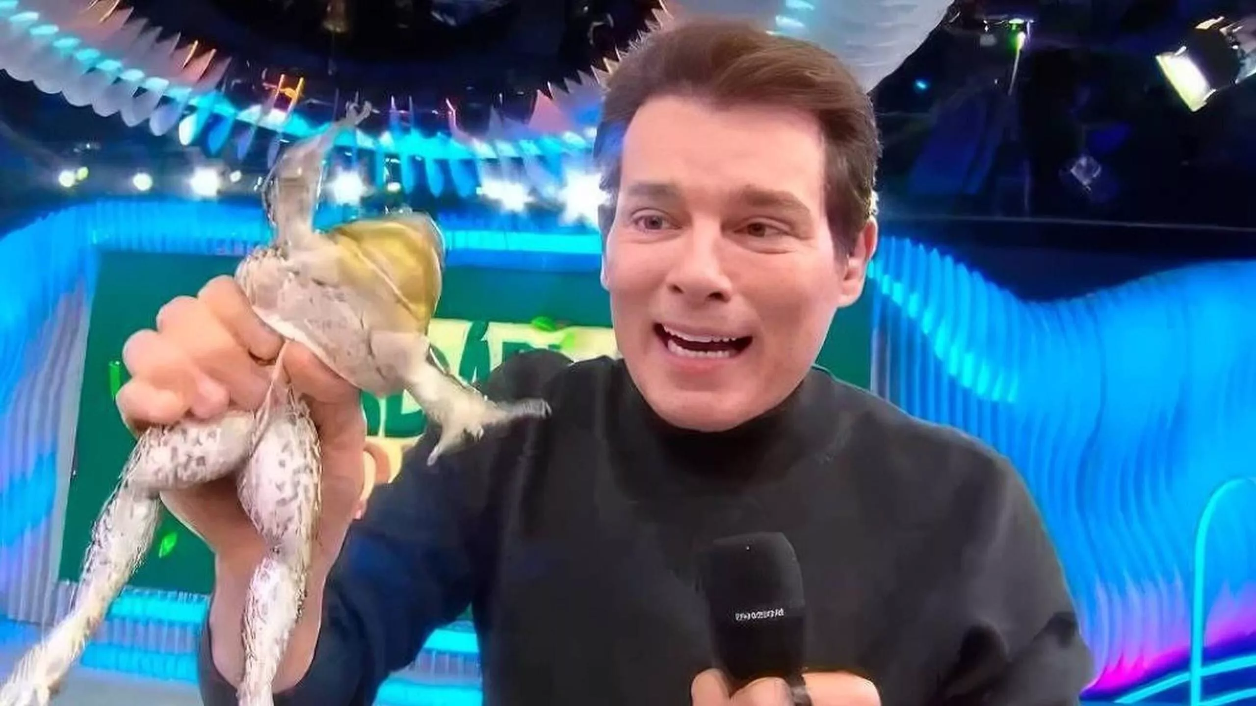 Caso da rã no SBT vira alvo de investigação e levanta debate sobre seletividade nas críticas