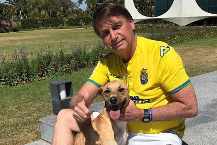 🐕 “Caramelo vigilante”? PMs são mordidos em casa de Bolsonaro e episódio expõe caos na prisão domiciliar