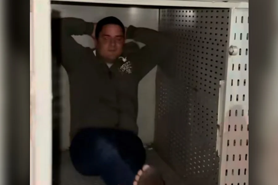 Crueldade sem limites: motorista atropela cães, ri da prisão e revolta o país