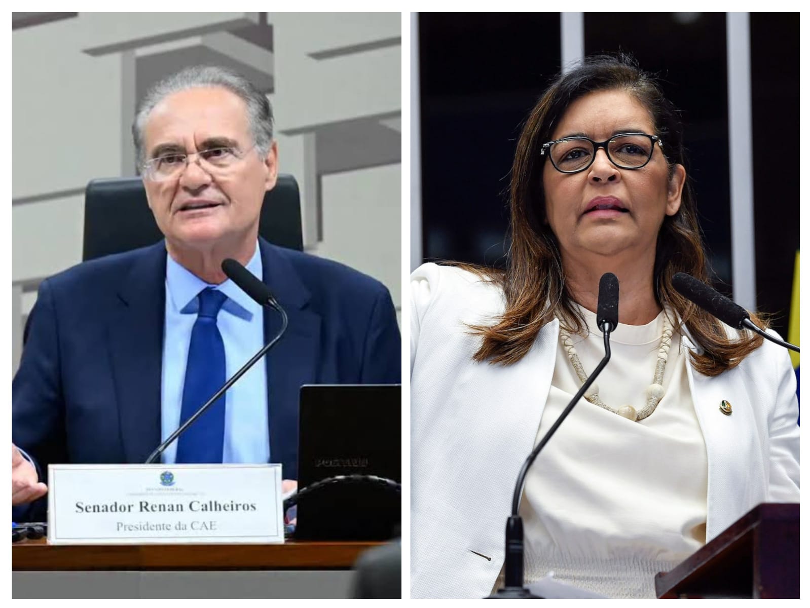 Bate-boca no Senado: Eudócia Caldas chama Renan Calheiros de “o mais corrupto do Brasil” durante sessão da CAE