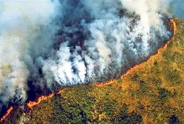 Fumaça sufoca Manaus, incêndios avançam no Amazonas e silêncio de autoridades e artistas levanta questionamentos